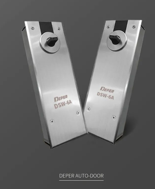 deperdsw-6A