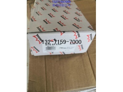 dorma地弹簧，bts65地弹簧，郑州多玛地弹簧图1