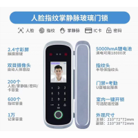 郑州人脸指纹玻璃门锁