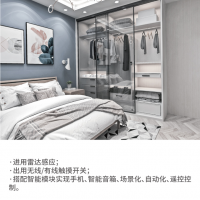 德恩科衣帽间磁悬浮自动门 —— 极窄边框，打造简约时尚的收纳空间